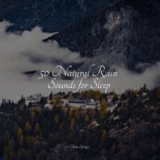50 Natural Rain Sounds for Sleep