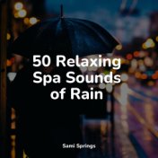 50 Relaxing Spa Sounds of Rain