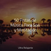 50 Pistas de Música Para Spa y Meditación