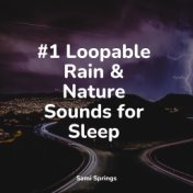 #1 Loopable Rain & Nature Sounds for Sleep