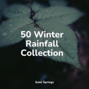 50 Winter Rainfall Collection