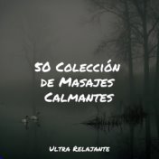 50 Colección de Masajes Calmantes