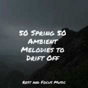 50 Spring 50 Ambient Melodies to Drift Off