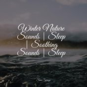 Winter Nature Sounds | Sleep | Soothing Sounds | Sleep