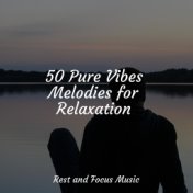 50 Pure Vibes Melodies for Relaxation