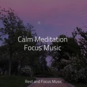 Calm Meditation Focus Music