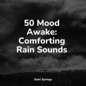 50 Mood Awake: Comforting Rain Sounds