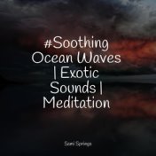 #Soothing Ocean Waves | Exotic Sounds | Meditation