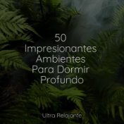 50 Impresionantes Ambientes Para Dormir Profundo