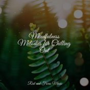 Mindfulness Melodies for Chilling Out