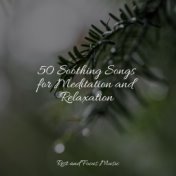 50 Soothing Songs for Meditation and Relaxation