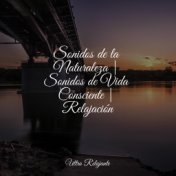 Sonidos de la Naturaleza | Sonidos de Vida Consciente | Relajación