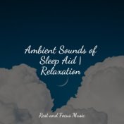 Ambient Sounds of Sleep Aid | Relaxation