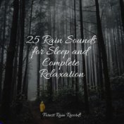 25 Rain Sounds for Sleep and Complete Relaxation