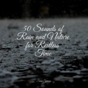 50 Sounds of Rain and Nature for Restless Time