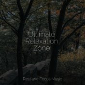 Ultimate Relaxation Zone