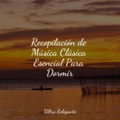 Recopilación de Música Clásica Esencial Para Dormir