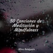 50 Canciones de Meditación y Mindfulness
