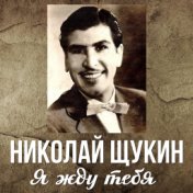 Николай Щукин