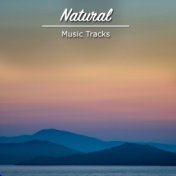 #22 Natural Music Tracks for Meditation, Spa and Relaxation