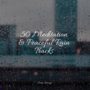 50 Meditation & Peaceful Rain Tracks
