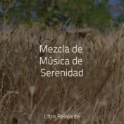 Mezcla de Música de Serenidad