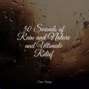 50 Sounds of Rain and Nature and Ultimate Relief