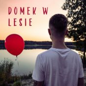 Domek w lesie