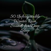 50 Unforgettable Winter Rain Sounds for Deep Sleep