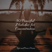 50 Peaceful Melodies for Concentration