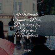50 Ultimate Summer Rain Recordings for Sleep and Mindfulness