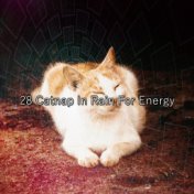 28 Catnap In Rain For Energy