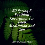 50 Spring & Soothing Recordings for Deep Meditation and Zen