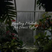 Healing Melodies for Stress Relief
