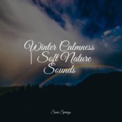 Winter Calmness | Soft Nature Sounds