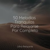 50 Melodías Tranquilas Para Relajarse Por Completo