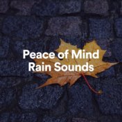 Peace of Mind Rain Sounds