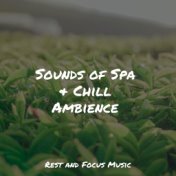 Sounds of Spa & Chill Ambience