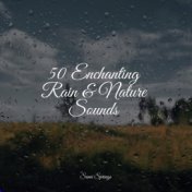 50 Ambient Rain Recordings for Sleep