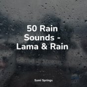 50 Rain Sounds - Lama & Rain