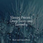 Sleepy Pieces | Deep Sleep and Serenity