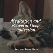 Meditation and Peaceful Sleep Collection