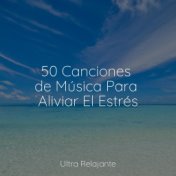 50 Canciones de Música Para Aliviar El Estrés