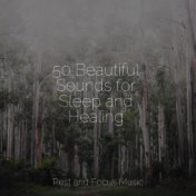 50 Beautiful Sounds for Sleep and Healing