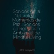 Sonidos de la Naturaleza | Momentos de Paz | Sonidos de Relajación Ambiental de Mindful Living