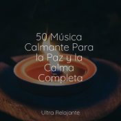 50 Música Calmante Para la Paz y la Calma Completa