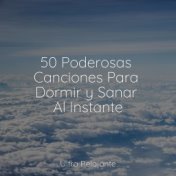 50 Poderosas Canciones Para Dormir y Sanar Al Instante