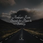 Ambient Rain Sounds for Peace & Serenity