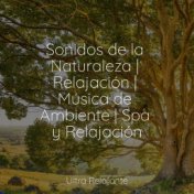 Sonidos de la Naturaleza | Relajación | Música de Ambiente | Spa y Relajación