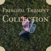 Principal Trumpet Collection